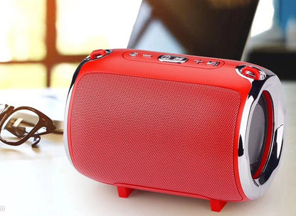 Portable Anti-Fall Bluetooth Speaker with Subwoofer - AuraTheory